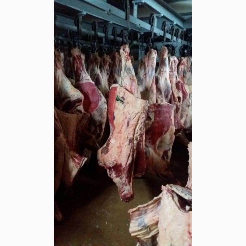 Фото 2. Продажа мяса