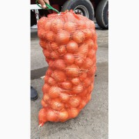 000 Азия фрукт Продаем лук из Казахстана
