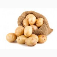 Продам продовольственный картофель сорта бриз