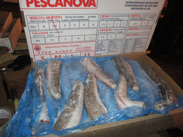 Фото 15. Предлагаем свежую рыбу, кальмары из Аргентины