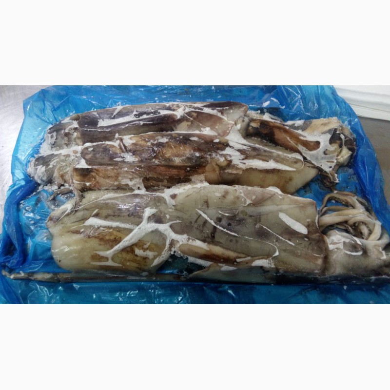 Фото 2. Предлагаем свежую рыбу, кальмары из Аргентины