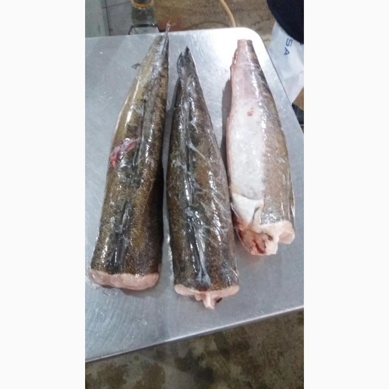 Фото 6. Предлагаем свежую рыбу, кальмары из Аргентины