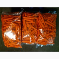 Продам Морковь мытая от производителя