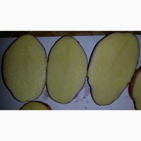 Картофель оптом от производителя в Республике Беларусь
