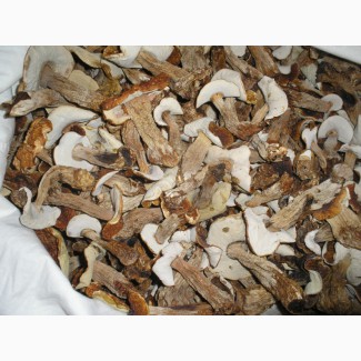 Купить боровики в Минске. Белые грибы