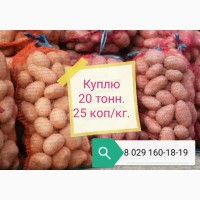 Куплю 20 тонн продовольственного картофеля, калибр 5+, сетевого качества, цена 0.25 руб