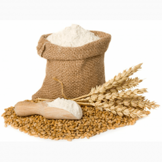 Мука пшеничная в/с м54-25 Полоцк оптом