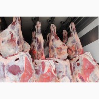 Мясо Говядины Охлажденное и замороженное в полутушах и четвертинах