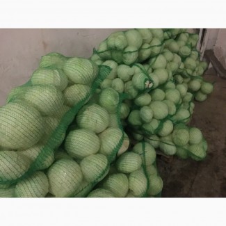 Продадим капусту белокочанную свежую, упакованную в сетку(оптом)