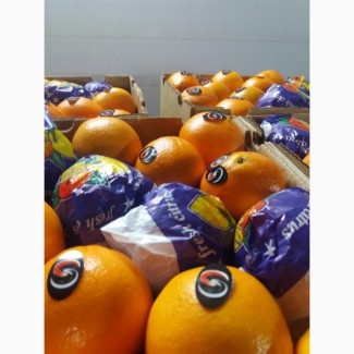 Продам Апельсины ОПТ