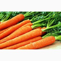 Картофель, капуста, морковь, свекла