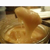 Фото 3. Продам мед из Узбекистана от поставщика. Отгружаем от 5 тонн