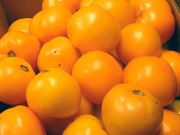 Фото 5. Огурцы, томаты(красные, желтые, розовые), капуста, свекла, морковь оптом