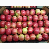 Продам свежие яблоки разных сортов:Хани Крисп, Глостер, Айдаред, Голден. Опт. Урожай 2021