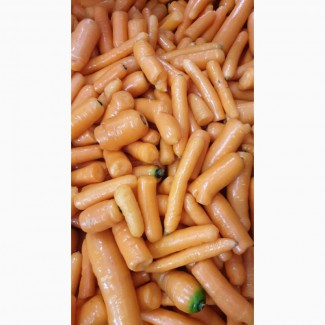Нестандарт мытой моркови (лом)