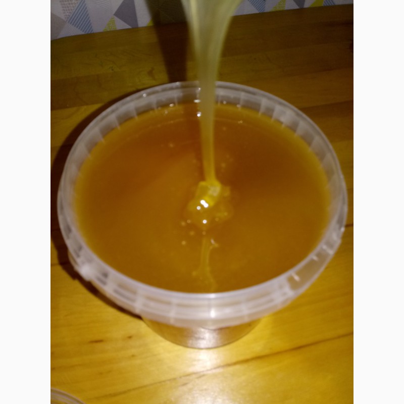 Фото 4. Продаю мёд со своей пасеки, есть документы, бесплатная доставка по Минску