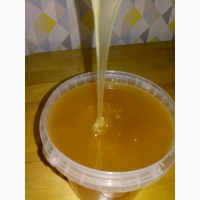 Продаю мёд со своей пасеки, есть документы, бесплатная доставка по Минску