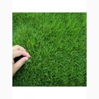 Семена травы газонной Универсал ЭКО 0.9 кг CENTNAS (РП)