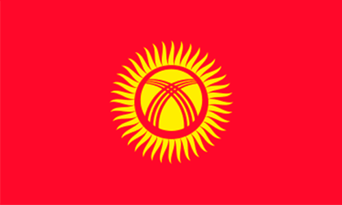 Киргизская фасоль оптом
