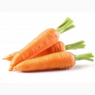 Куплю морковь