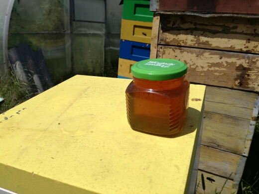 Фото 2. Продам мед урожай 2020