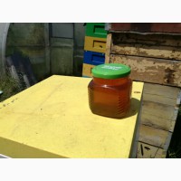 Продам мед урожай 2020
