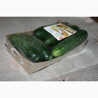 Лотки для упаковки овощей и зелени