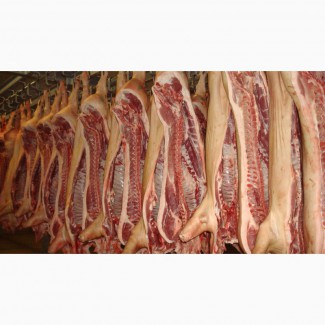 Реализуем мясо свинины оптом