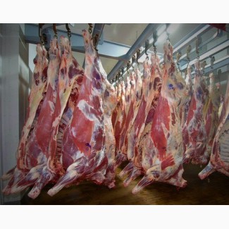 Реализуем мясо говядины оптом