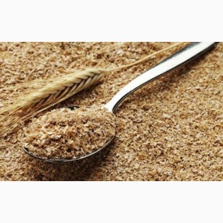 Фирма Yukon Transit закупит пшеничные отруби на ЭКСПОРТ
