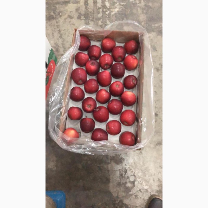 Фото 2. Продам яблоки с холдильика