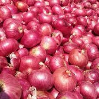We sell Best Quality Organic Exporter Onion lt; +4536992142