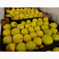 Продам яблоки 2 сорт, с наличие есть cорта: Голден, Грушевое, Найдаред, Глостер, Лиголь