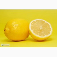 Лимоны продам