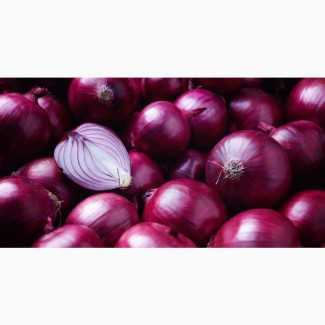 Selling Fresh Onion Best Prices +4536992142
