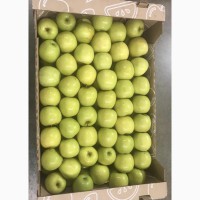 Яблоки экспортного качества