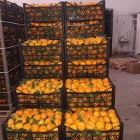 Продам цитрусовые и фрукты с Турции