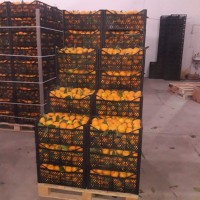 Продам цитрусовые и фрукты с Турции