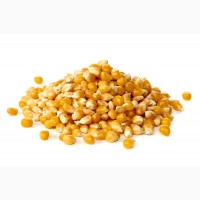 Пшеница, ячмень, кукуруза, горох, шрот 38-42 % прот., жмых 38% с доставкой из России. Опт
