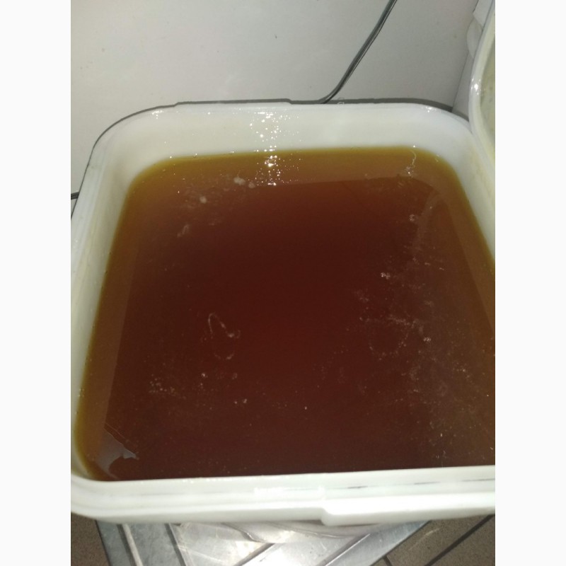 Фото 13. Натуральный мёд оптом от 35 кг