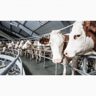 Ремонт и обслуживание молочно-товарных ферм