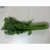 Экспорт зелени и овощей класса c плантации Турции