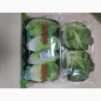 Экспорт зелени и овощей класса c плантации Турции