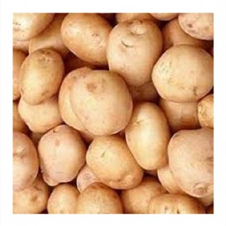 Buy potatoes in bulk with delivery lt;+4536992142