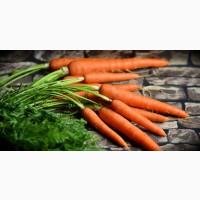 Продаем морковь разных сортов