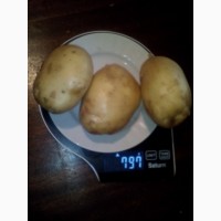 Купим картофель урожай 2021 г
