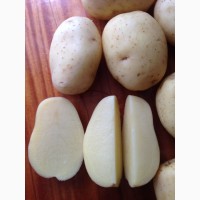 Купим картофель урожай 2021 г