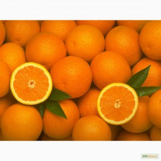 Продам апельсины ОПТ