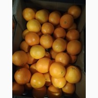 Продам апельсин оптом