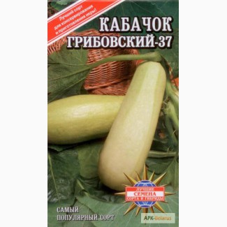 Продам кабачки, сорт Грибовский-37